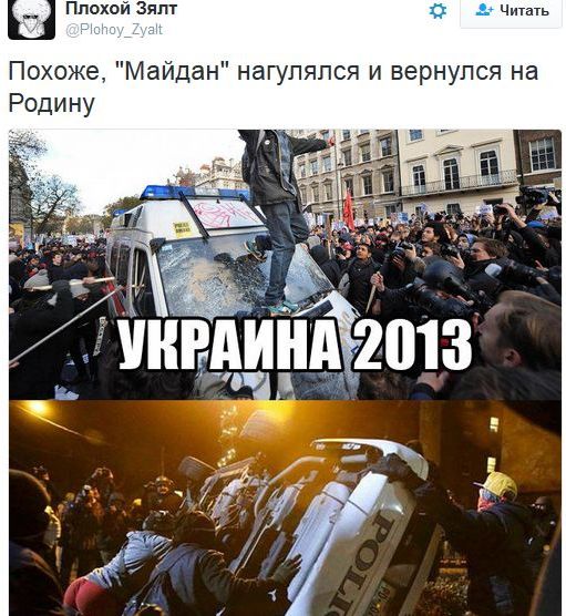 "Мыздобулы" в картинках. Смешных и не очень... 12-11-2016