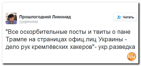 "Мыздобулы" в картинках. Смешных и не очень... 12-11-2016