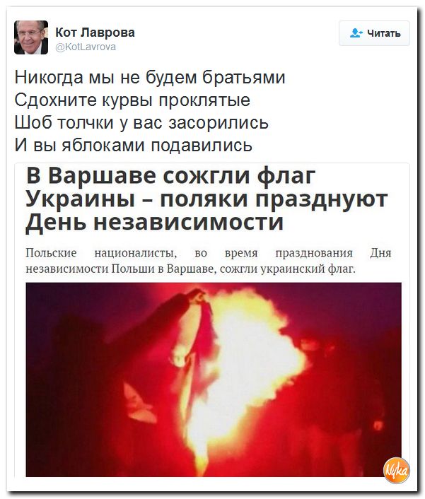 "Мыздобулы" в картинках. Смешных и не очень... 12-11-2016