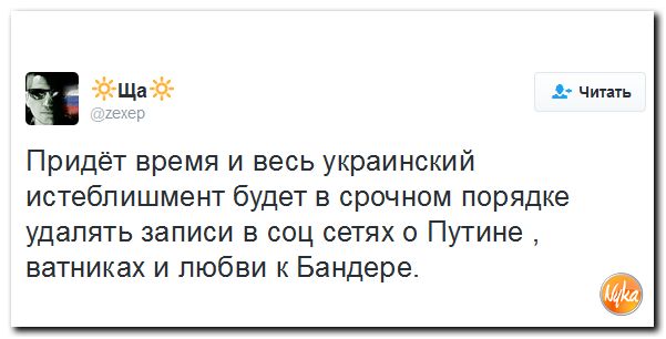 "Мыздобулы" в картинках. Смешных и не очень... 12-11-2016