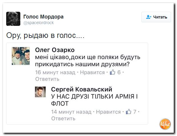 "Мыздобулы" в картинках. Смешных и не очень... 12-11-2016