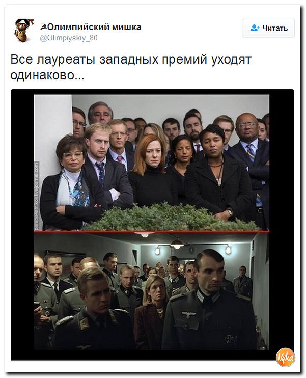 "Мыздобулы" в картинках. Смешных и не очень... 12-11-2016