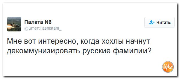 "Мыздобулы" в картинках. Смешных и не очень... 13-11-2016 "Мыздобулы" в картинках. Смешных и не очень... 13-11-2016
