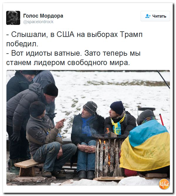 "Мыздобулы" в картинках. Смешных и не очень... 13-11-2016 "Мыздобулы" в картинках. Смешных и не очень... 13-11-2016