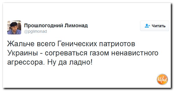 "Мыздобулы" в картинках. Смешных и не очень... 13-11-2016 "Мыздобулы" в картинках. Смешных и не очень... 13-11-2016