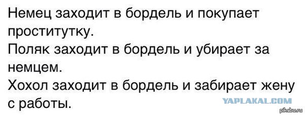 "Мыздобулы" в картинках. Смешных и не очень... 13-11-2016 "Мыздобулы" в картинках. Смешных и не очень... 13-11-2016