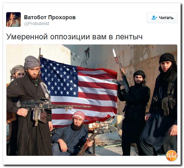 "Мыздобулы" в картинках. Смешных и не очень... 13-11-2016 "Мыздобулы" в картинках. Смешных и не очень... 13-11-2016