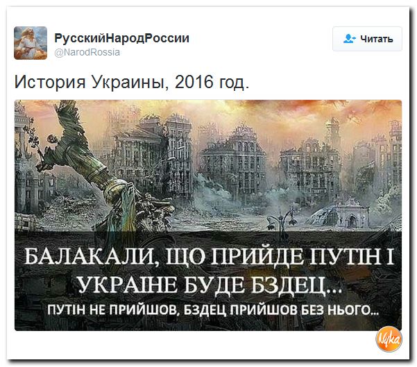 "Мыздобулы" в картинках. Смешных и не очень... 13-11-2016 "Мыздобулы" в картинках. Смешных и не очень... 13-11-2016