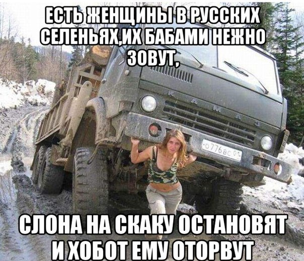 "Мыздобулы" в картинках. Смешных и не очень... 13-11-2016 "Мыздобулы" в картинках. Смешных и не очень... 13-11-2016