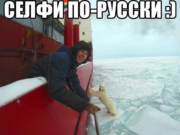 "Мыздобулы" в картинках. Смешных и не очень... 13-11-2016 "Мыздобулы" в картинках. Смешных и не очень... 13-11-2016