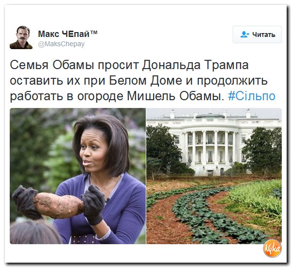 "Мыздобулы" в картинках. Смешных и не очень... 14-11-2016 "Мыздобулы" в картинках. Смешных и не очень... 14-11-2016