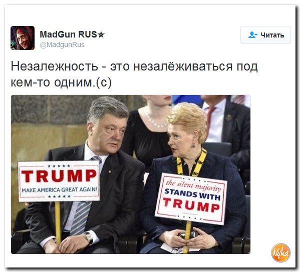 "Мыздобулы" в картинках. Смешных и не очень... 14-11-2016 "Мыздобулы" в картинках. Смешных и не очень... 14-11-2016