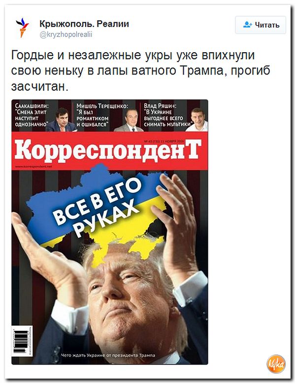 "Мыздобулы" в картинках. Смешных и не очень... 14-11-2016 "Мыздобулы" в картинках. Смешных и не очень... 14-11-2016