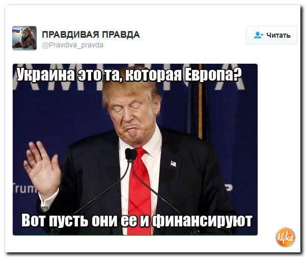 "Мыздобулы" в картинках. Смешных и не очень... 14-11-2016 "Мыздобулы" в картинках. Смешных и не очень... 14-11-2016