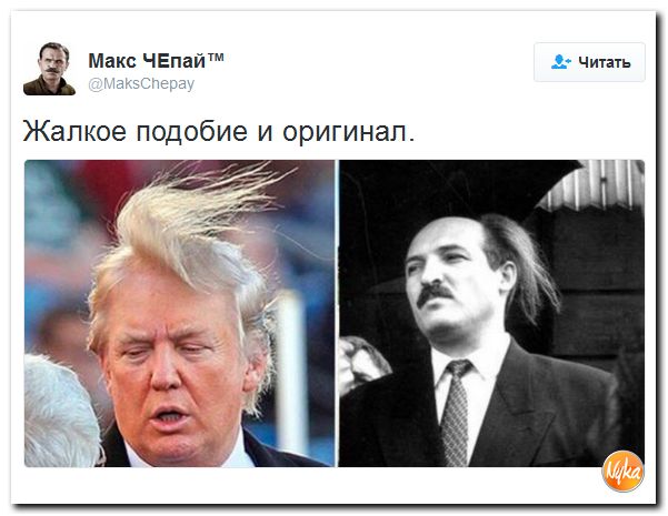 "Мыздобулы" в картинках. Смешных и не очень... 14-11-2016 "Мыздобулы" в картинках. Смешных и не очень... 14-11-2016