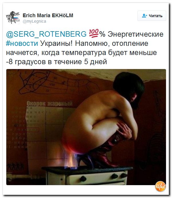 "Мыздобулы" в картинках. Смешных и не очень... 14-11-2016 "Мыздобулы" в картинках. Смешных и не очень... 14-11-2016