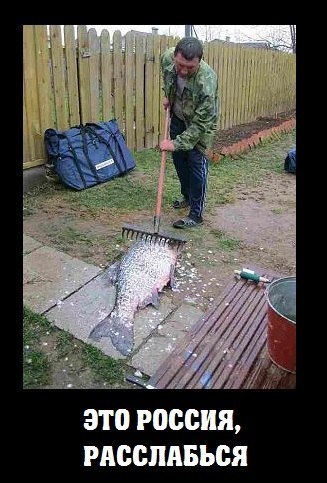 "Мыздобулы" в картинках. Смешных и не очень... 14-11-2016 "Мыздобулы" в картинках. Смешных и не очень... 14-11-2016