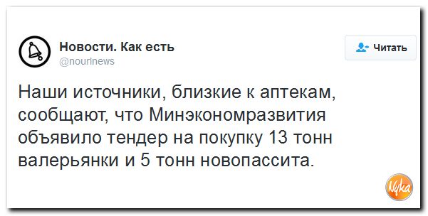 "Мыздобулы" в картинках. Смешных и не очень... 16-11-2016