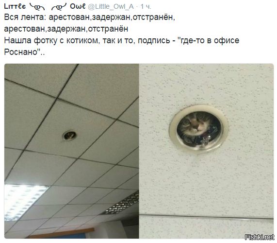 "Мыздобулы" в картинках. Смешных и не очень... 16-11-2016