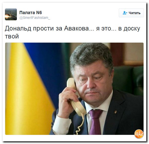 "Мыздобулы" в картинках. Смешных и не очень... 16-11-2016