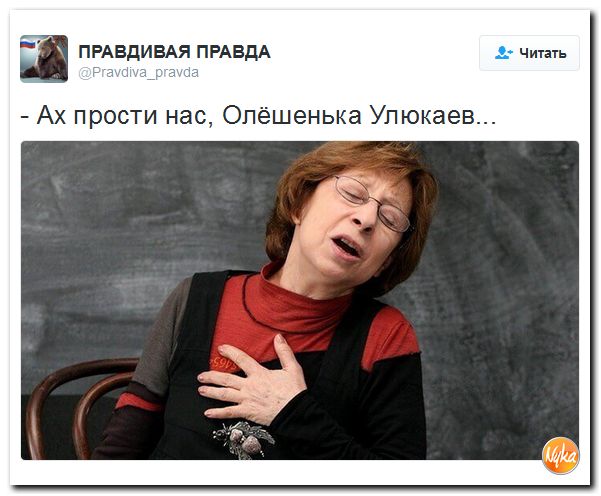 "Мыздобулы" в картинках. Смешных и не очень... 16-11-2016