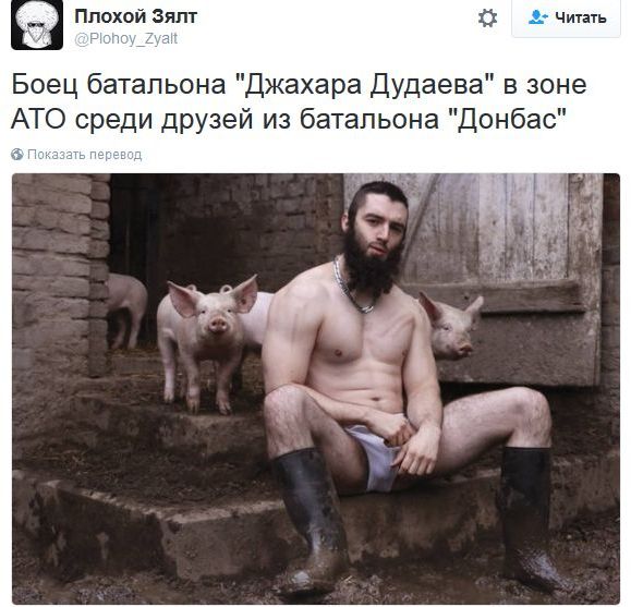 "Мыздобулы" в картинках. Смешных и не очень... 16-11-2016