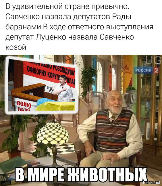 "Мыздобулы" в картинках. Смешных и не очень... 16-11-2016