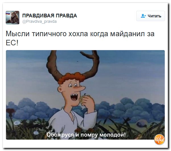 "Мыздобулы" в картинках. Смешных и не очень... 16-11-2016