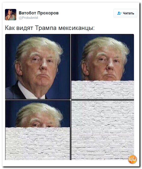 "Мыздобулы" в картинках. Смешных и не очень... 16-11-2016