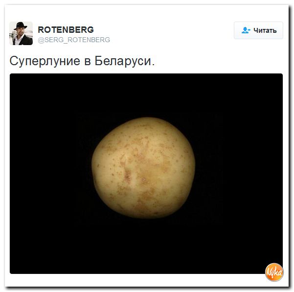 "Мыздобулы" в картинках. Смешных и не очень... 16-11-2016