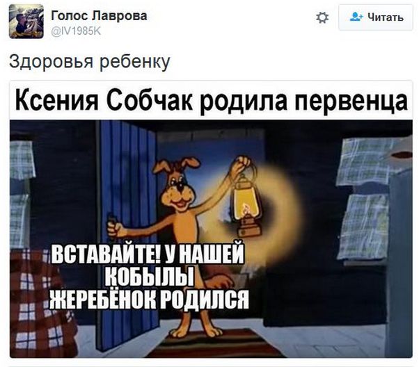 "Мыздобулы" в картинках. Смешных и не очень... 18-11-2016 "Мыздобулы" в картинках. Смешных и не очень... 18-11-2016