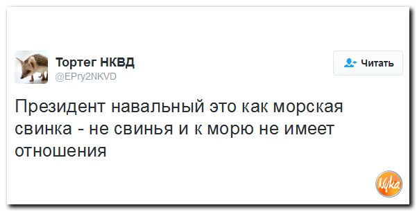"Мыздобулы" в картинках. Смешных и не очень... 18-11-2016 "Мыздобулы" в картинках. Смешных и не очень... 18-11-2016