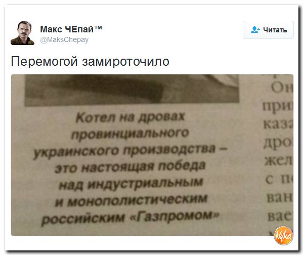 "Мыздобулы" в картинках. Смешных и не очень... 18-11-2016 "Мыздобулы" в картинках. Смешных и не очень... 18-11-2016