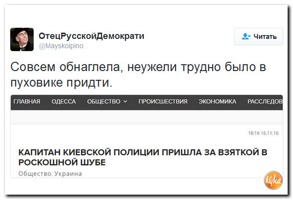 "Мыздобулы" в картинках. Смешных и не очень... 18-11-2016 "Мыздобулы" в картинках. Смешных и не очень... 18-11-2016