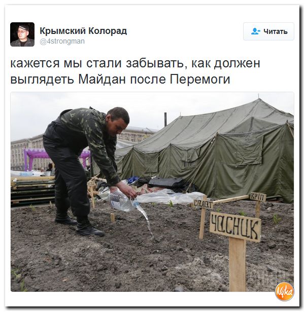 "Мыздобулы" в картинках. Смешных и не очень... 18-11-2016 "Мыздобулы" в картинках. Смешных и не очень... 18-11-2016