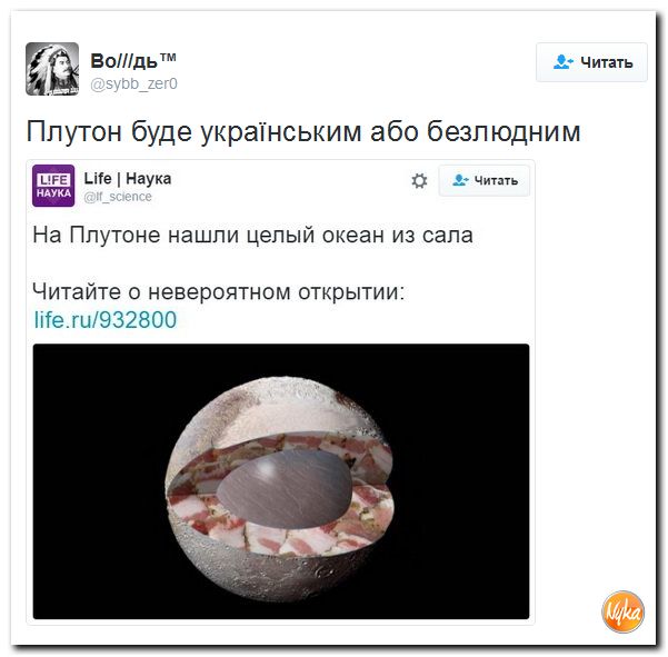 "Мыздобулы" в картинках. Смешных и не очень... 18-11-2016 "Мыздобулы" в картинках. Смешных и не очень... 18-11-2016