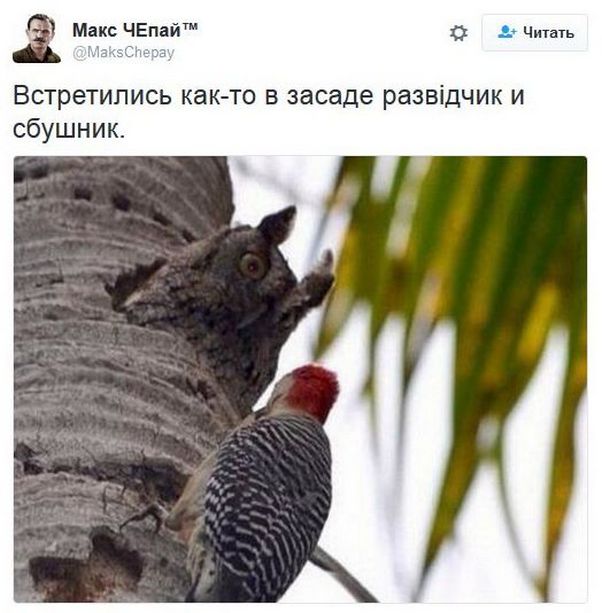 "Мыздобулы" в картинках. Смешных и не очень... 18-11-2016 "Мыздобулы" в картинках. Смешных и не очень... 18-11-2016