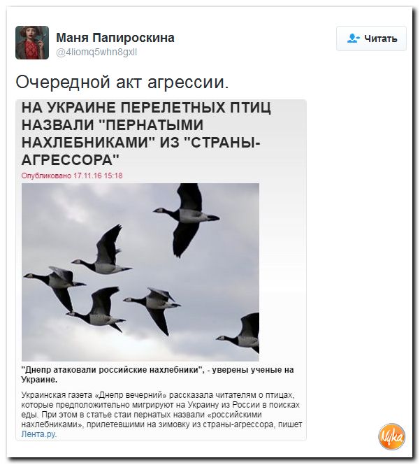 "Мыздобулы" в картинках. Смешных и не очень... 18-11-2016 "Мыздобулы" в картинках. Смешных и не очень... 18-11-2016