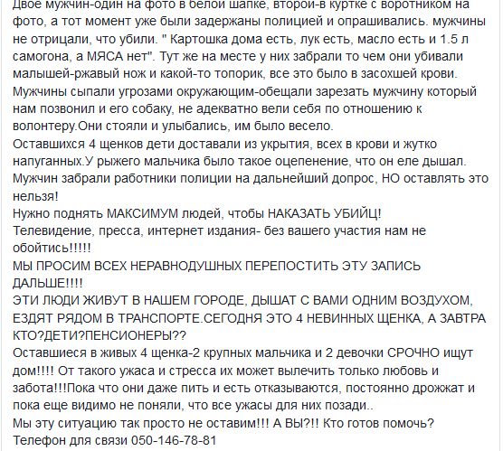 Херсонские живодеры растерзали щенков ради мяса Херсонские живодеры растерзали щенков ради мяса