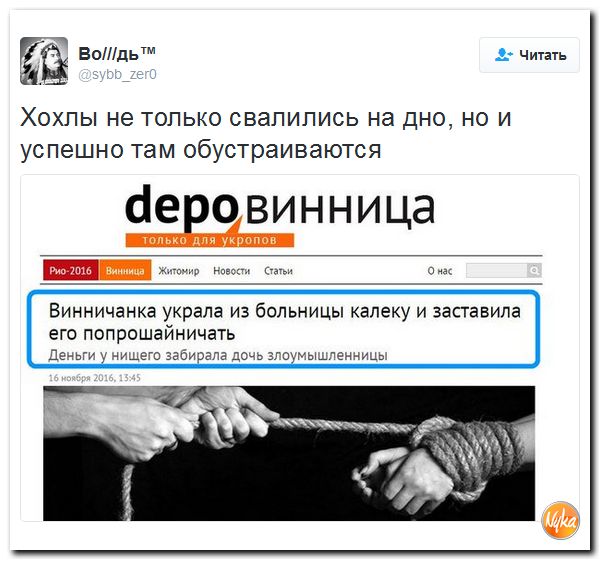 "Мыздобулы" в картинках. Смешных и не очень... 20-11-2016 "Мыздобулы" в картинках. Смешных и не очень... 20-11-2016