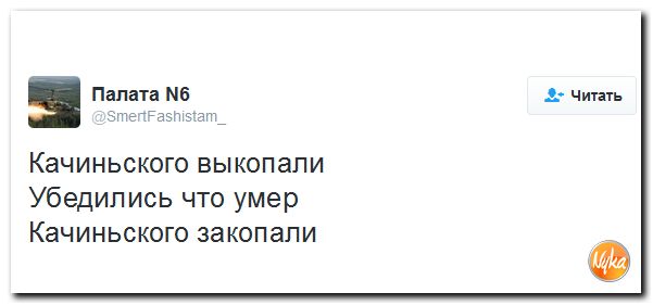 "Мыздобулы" в картинках. Смешных и не очень... 20-11-2016 "Мыздобулы" в картинках. Смешных и не очень... 20-11-2016