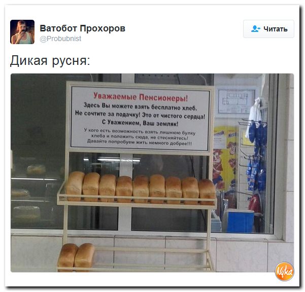 "Мыздобулы" в картинках. Смешных и не очень... 20-11-2016 "Мыздобулы" в картинках. Смешных и не очень... 20-11-2016