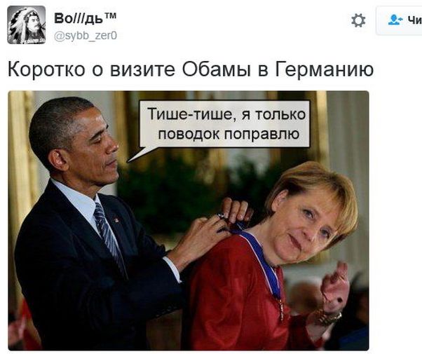 "Мыздобулы" в картинках. Смешных и не очень... 20-11-2016 "Мыздобулы" в картинках. Смешных и не очень... 20-11-2016