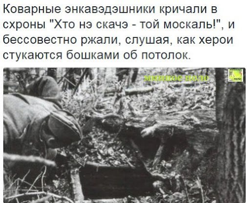 "Мыздобулы" в картинках. Смешных и не очень... 20-11-2016 "Мыздобулы" в картинках. Смешных и не очень... 20-11-2016