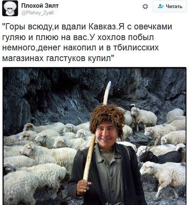 "Мыздобулы" в картинках. Смешных и не очень... 20-11-2016 "Мыздобулы" в картинках. Смешных и не очень... 20-11-2016