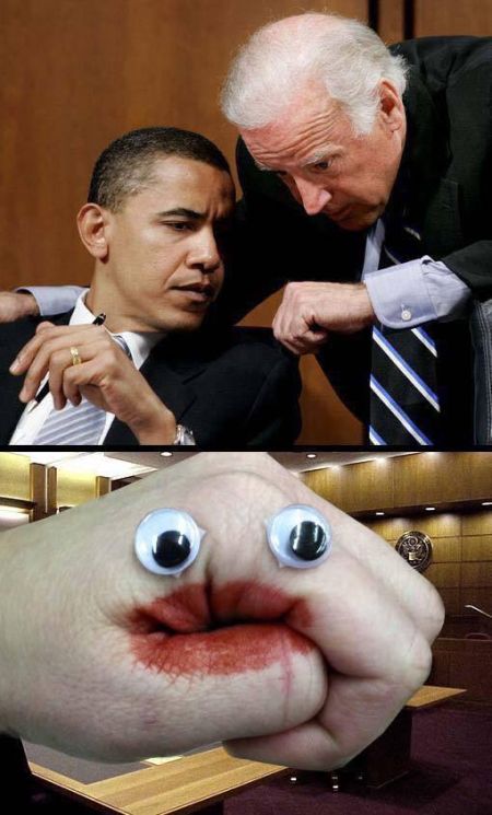 "Мыздобулы" в картинках. Смешных и не очень... 20-11-2016 "Мыздобулы" в картинках. Смешных и не очень... 20-11-2016