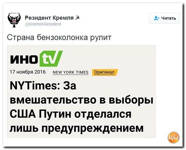 "Мыздобулы" в картинках. Смешных и не очень... 20-11-2016 "Мыздобулы" в картинках. Смешных и не очень... 20-11-2016