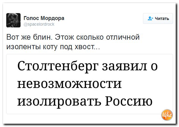 "Мыздобулы" в картинках. Смешных и не очень... 20-11-2016 "Мыздобулы" в картинках. Смешных и не очень... 20-11-2016