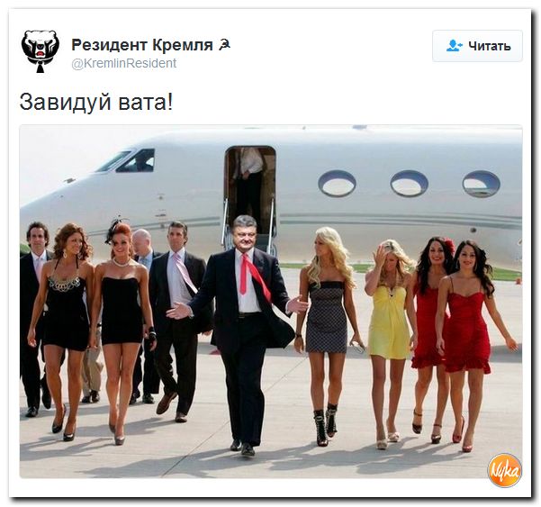 "Мыздобулы" в картинках. Смешных и не очень... 20-11-2016 "Мыздобулы" в картинках. Смешных и не очень... 20-11-2016