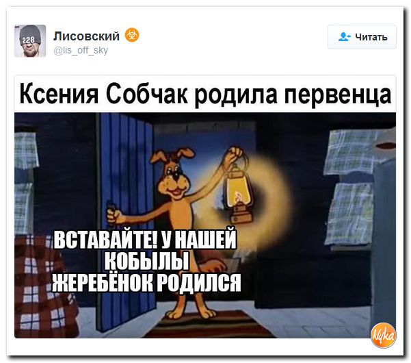 "Мыздобулы" в картинках. Смешных и не очень... 20-11-2016 "Мыздобулы" в картинках. Смешных и не очень... 20-11-2016